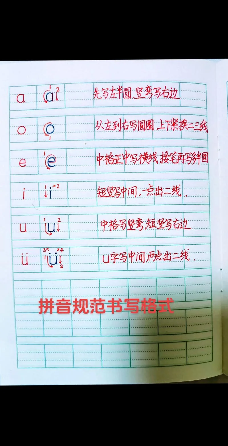 条字的拼音怎么写_2