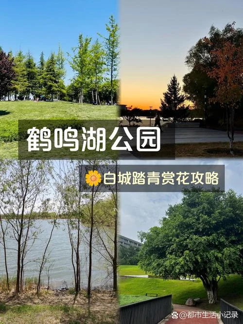 鹤鸣湖一日游详细攻略_1