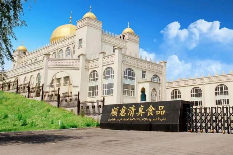 有限公司最早什么时候_2