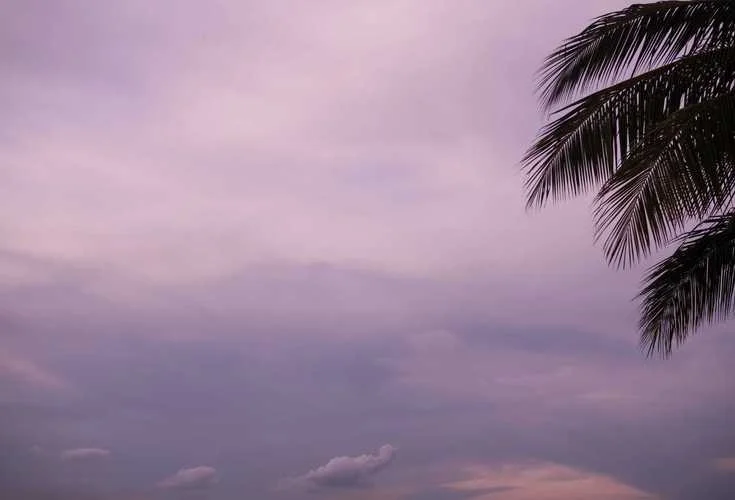 做梦梦到洪水滚滚而来-洪水滚滚梦中来