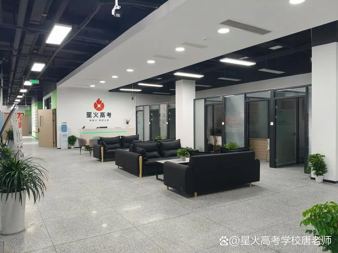艺术类考生文化课补习_1