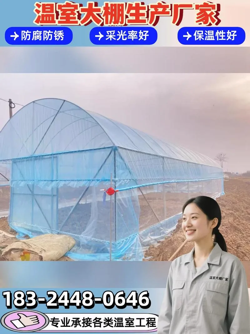 一亩大棚造价是多少_1