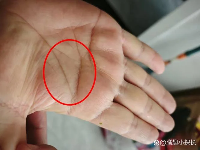 梦见自己去看手相_2