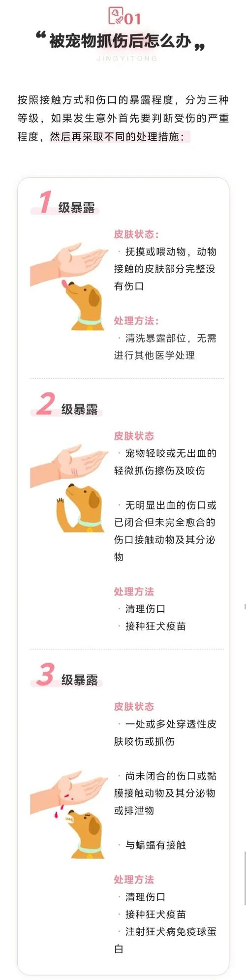 做梦被猫狗咬了怎么办-