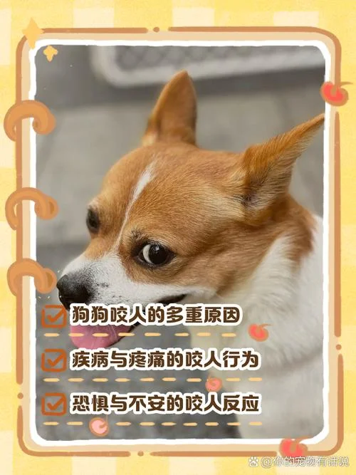 周公解梦梦见狗咬人 周公解梦-梦见狗咬人