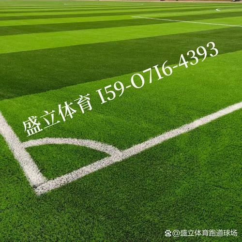 门球场人造草坪多少钱一平方-门球场草坪一平方价