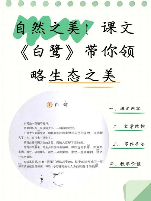 竹山岛上的白鹭读后感-竹山岛白鹭读后感