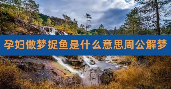 梦见逮鱼什么意思_1
