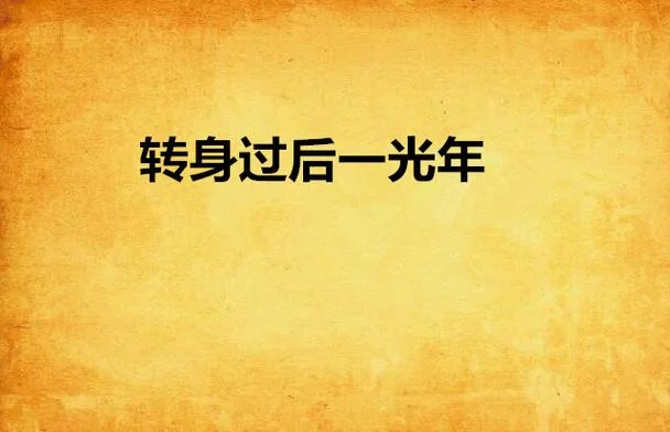 l光年多少公里-