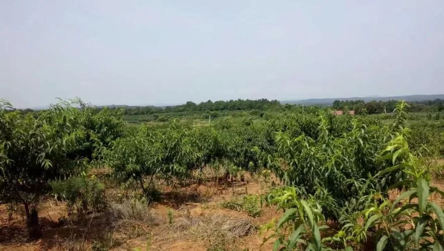 企业占地一亩多少钱_1