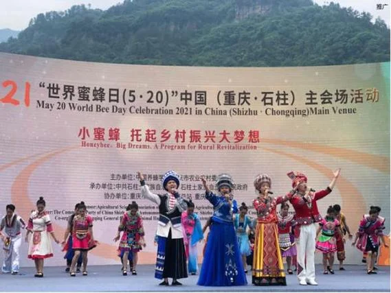 重庆到石柱多少公里_1