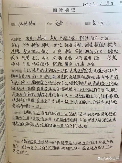 骆驼祥子读书笔记摘抄+感悟_2