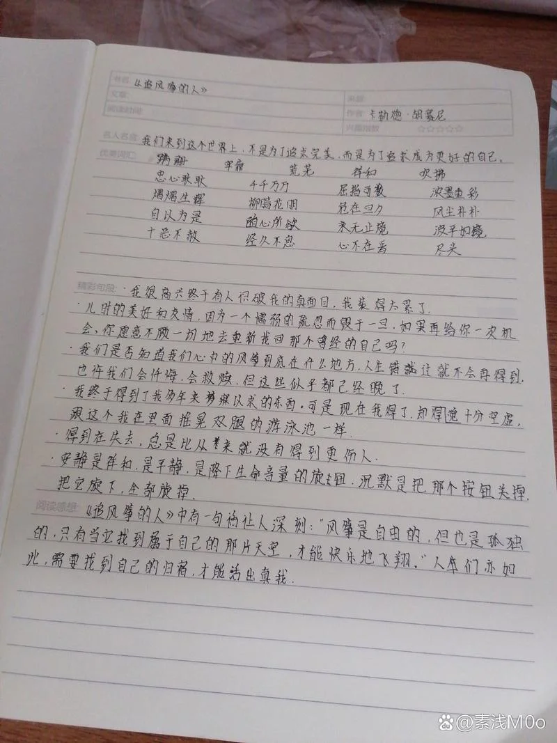 追风筝的人1500字读后感-追风筝人读后感