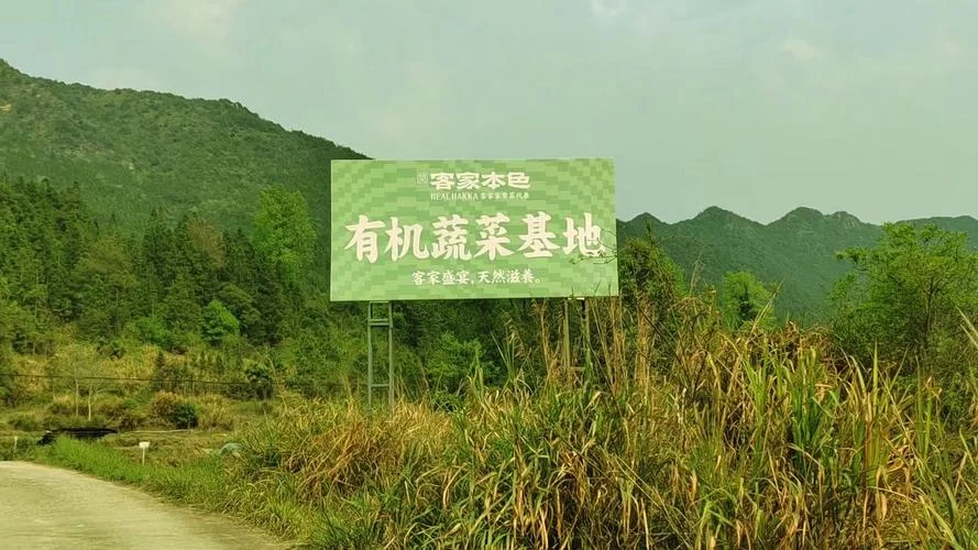 蔬菜种植公司怎么起名_2