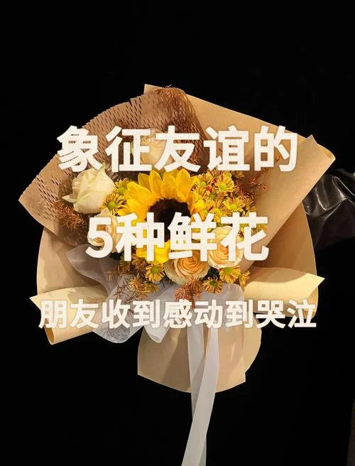 给好朋友道歉送什么花_2