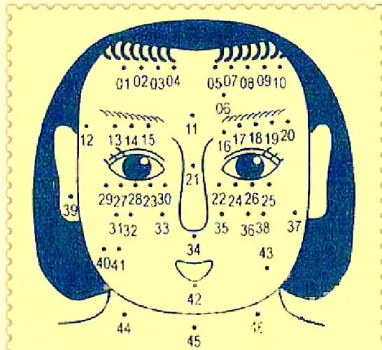 女性面相图解大全-女性面相图解大全