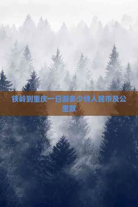 重庆到沈阳有多少公里-重庆到沈阳约 1200 公里