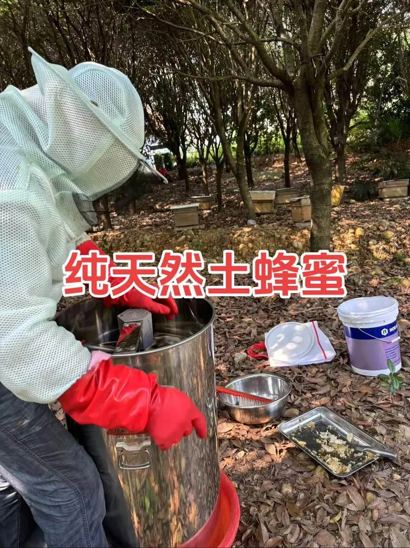 什么时候买野生蜂蜜比较好-野生蜂蜜何时选购