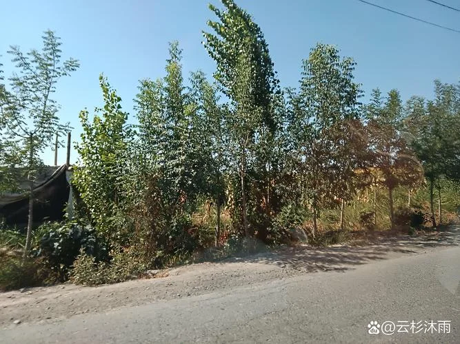一亩多少平方公里图片_1