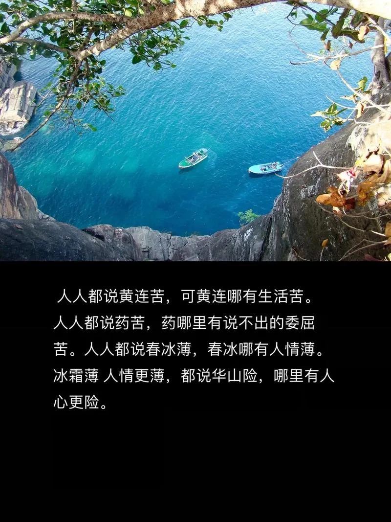 哑巴吃黄连求下一句_1