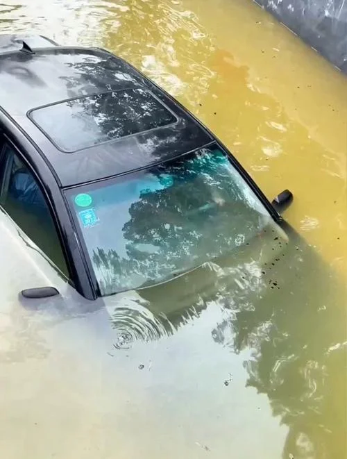 梦见自家车掉水里了什么征兆_1