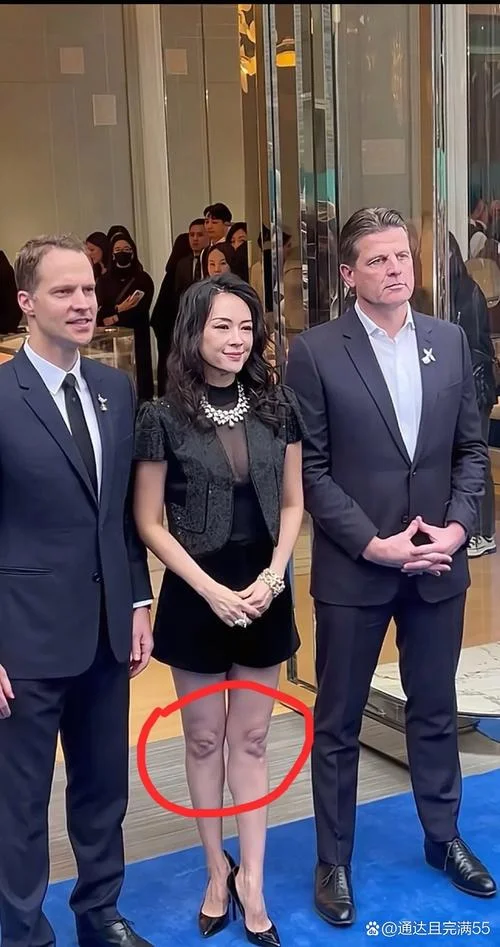 章子怡不雅历史_2
