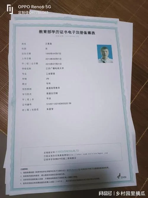 学历证明编号在哪查-学历证明编号查询