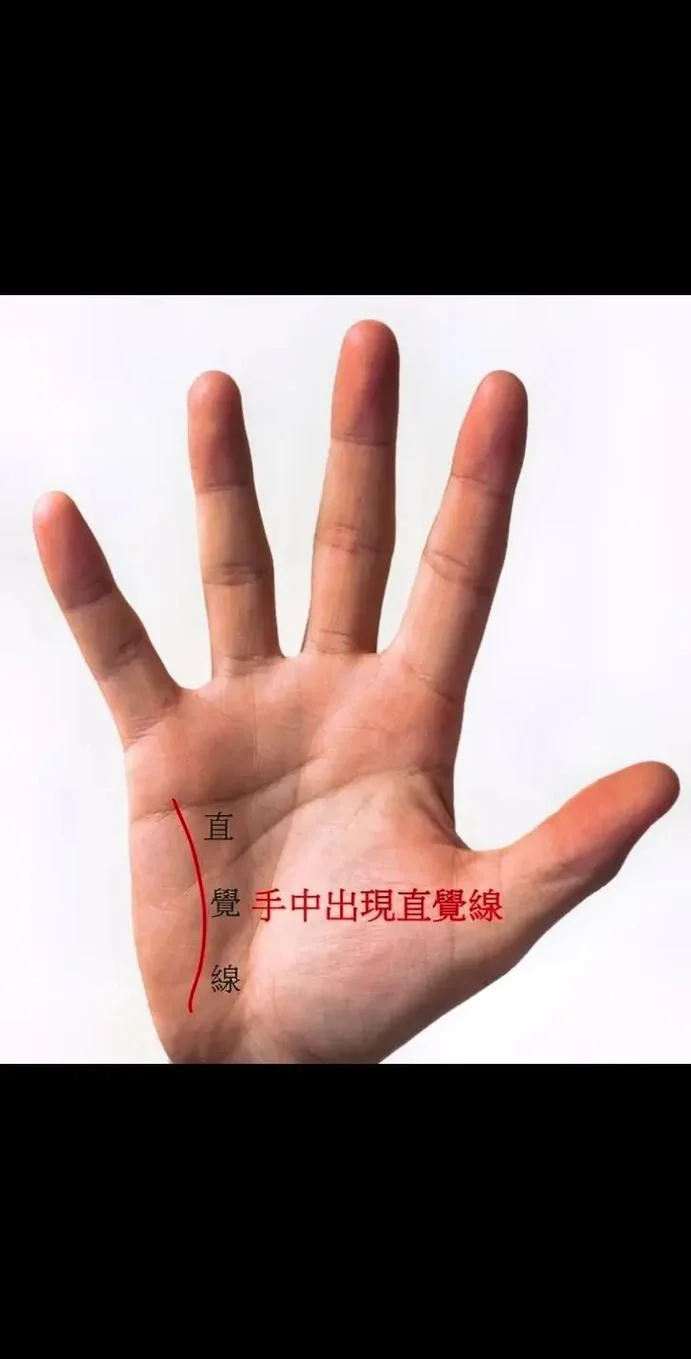 手相一条线叫什么_1