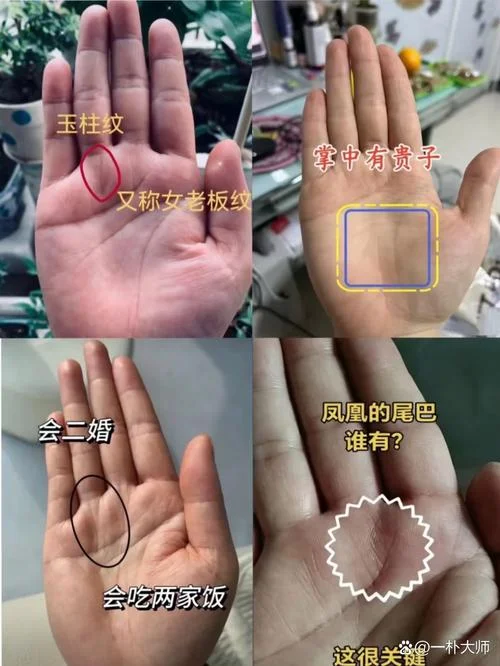 手相鱼形纹大全-手相鱼形纹详解