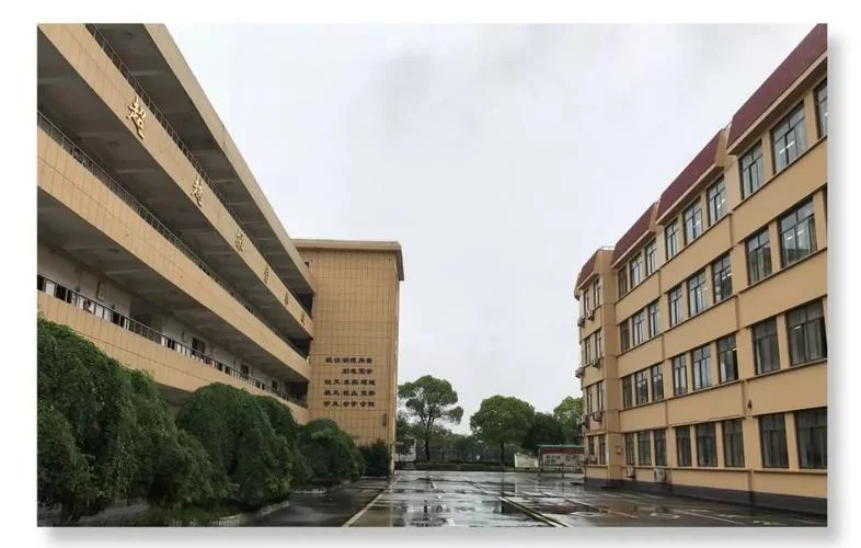 义亭中学分数线_1