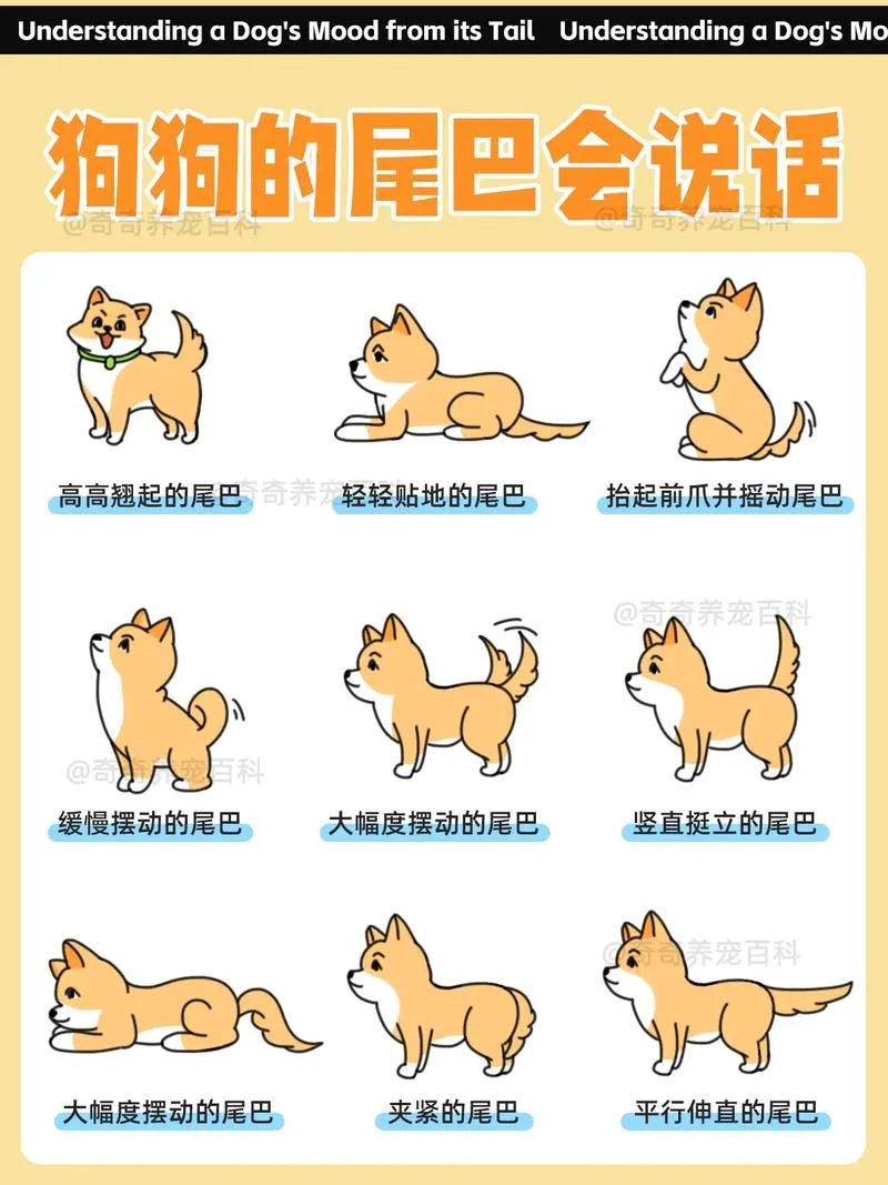 尾大不掉是什么意思啊_1