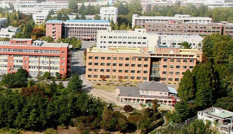 韩国大学成绩90分以上-韩国大学成绩 90 分以上
