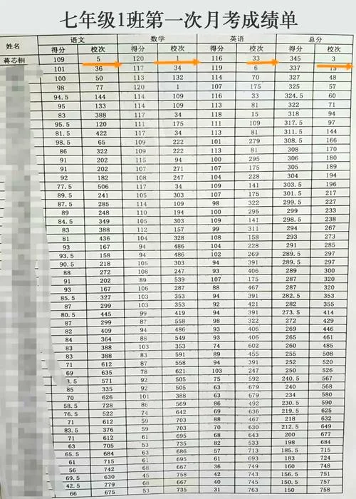 2017初中成绩查询_2