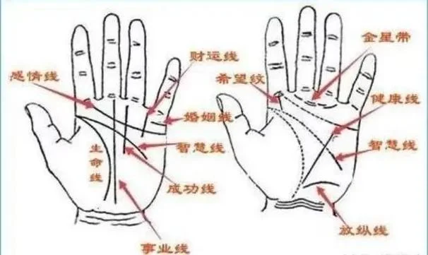 女人的手相事业图解_2