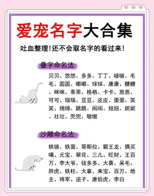 小猫起名字大全另类_2