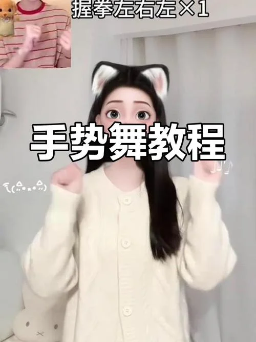 想学手势舞怎么学_1