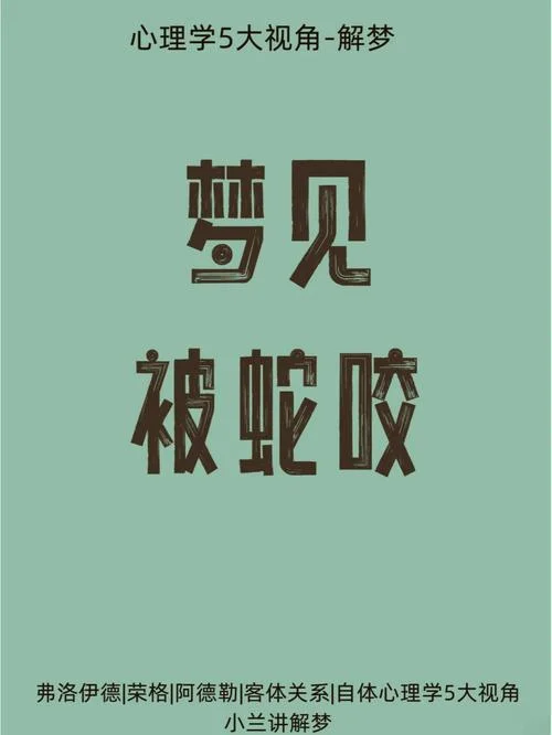 为什么做梦老是梦到蛇-梦经常见蛇