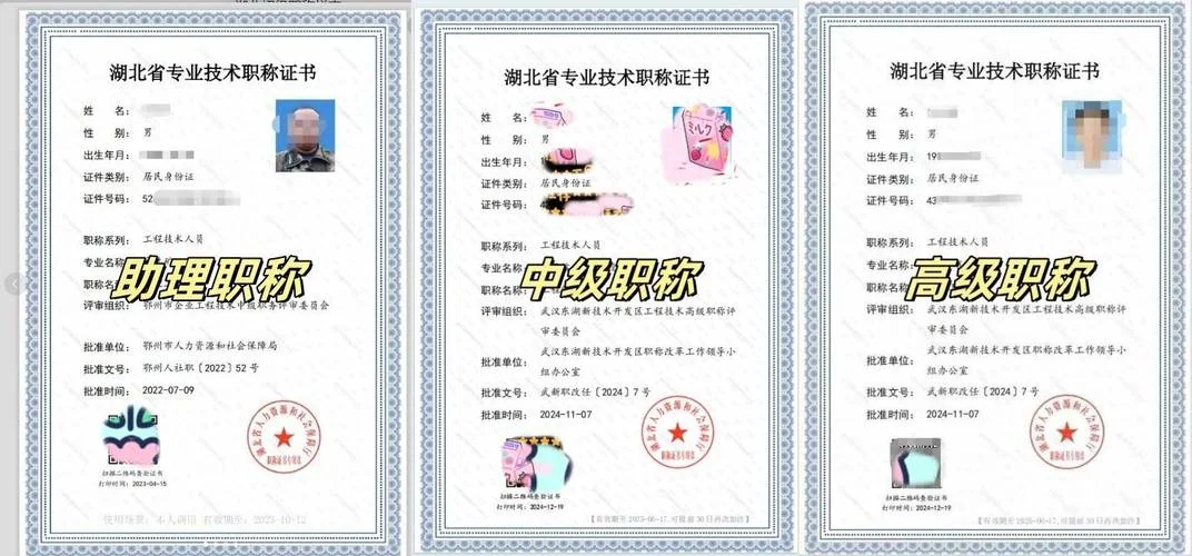 湖北职称网证书查询_1