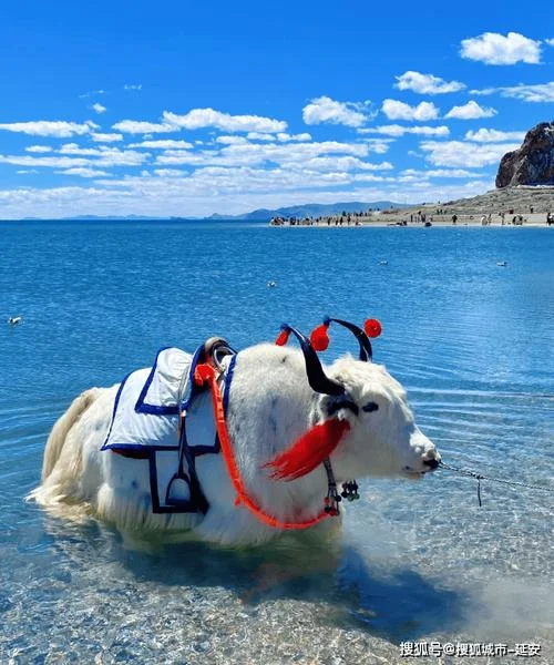 西藏旅游攻略10天费用_1
