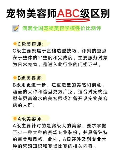 宠物美容师c级报名费_1