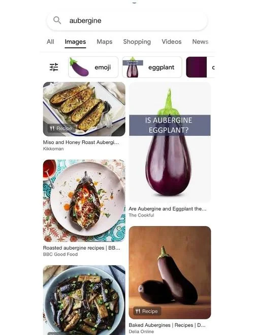 茄子的英语叫什么_2
