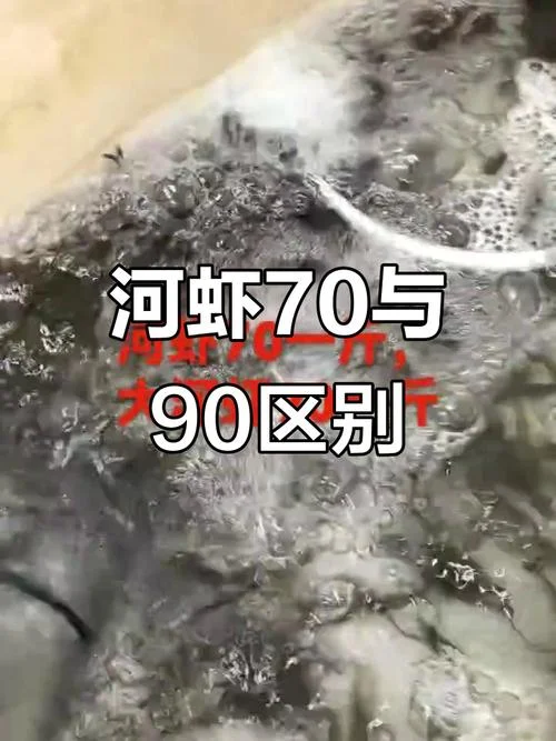 10亩地养虾要多少钱_1