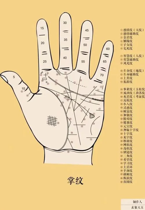 手相分男左女右么_1