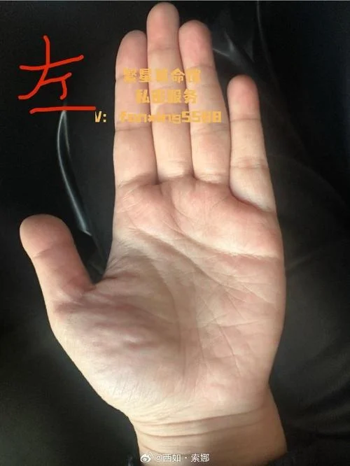 手机手掌算命-手机算掌命