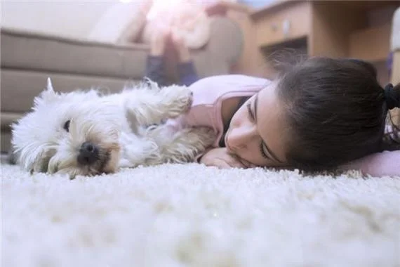 梦见朋友女儿死掉了_2