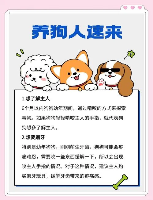 孕妇做梦梦到狗追咬手-孕妇梦狗咬手