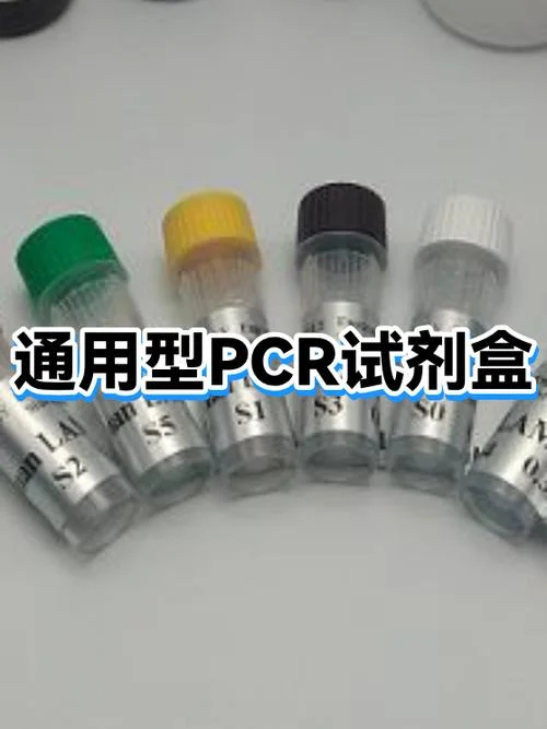 pcr叫什么_1