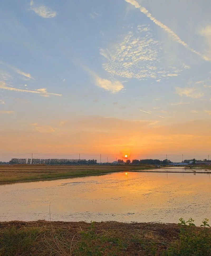 夕阳无限好只是近黄昏是谁写的_1