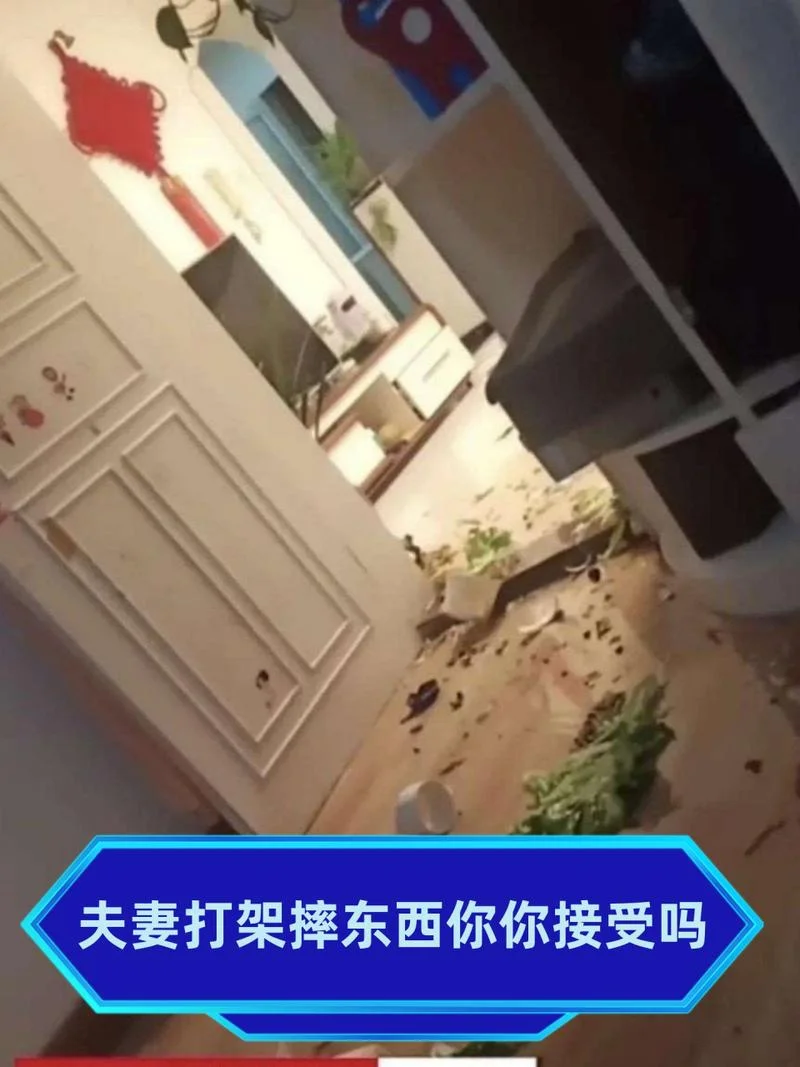 梦到和亲人吵架摔东西-亲人吵架摔东西