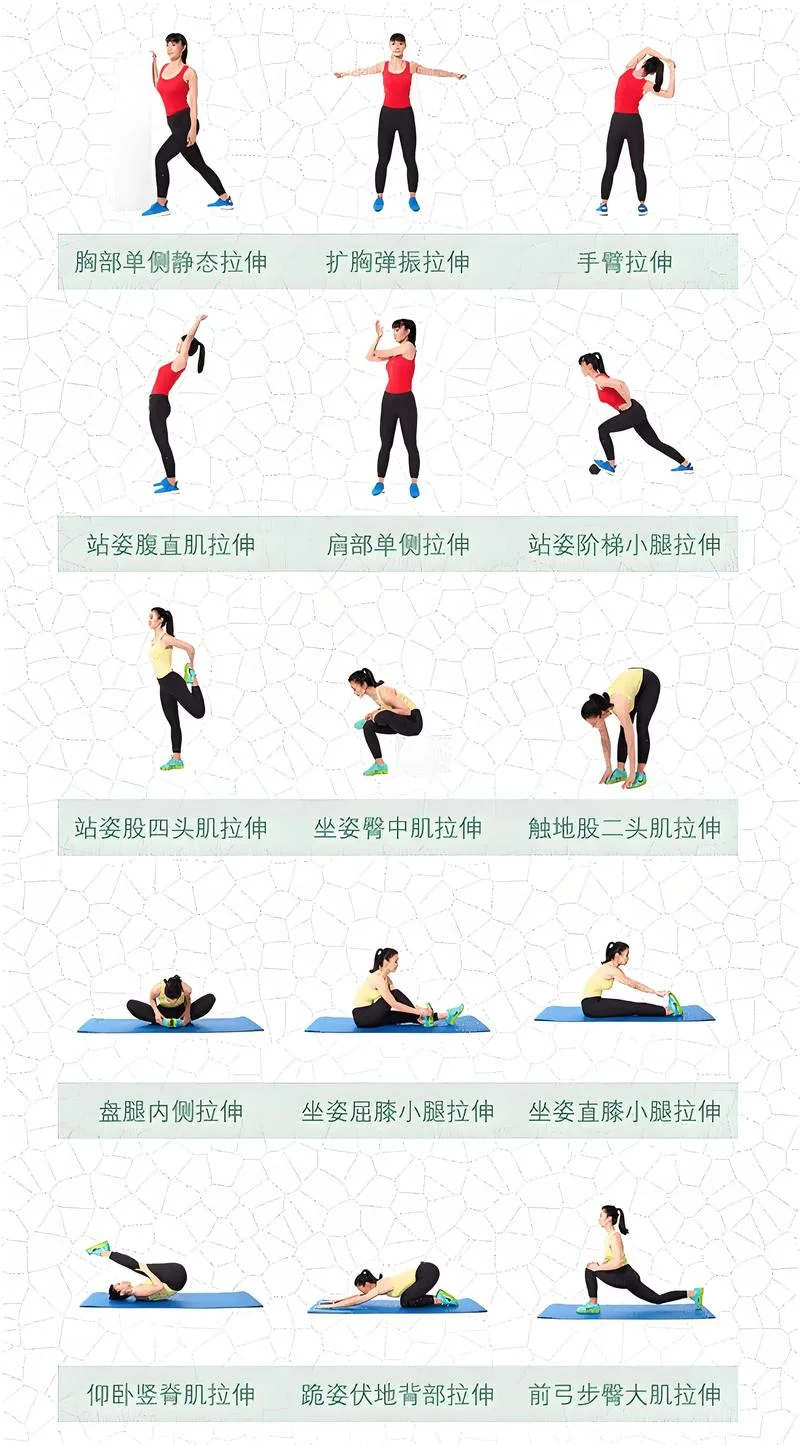 瑜伽拉伸器材怎么用-瑜伽拉伸器材使用技巧